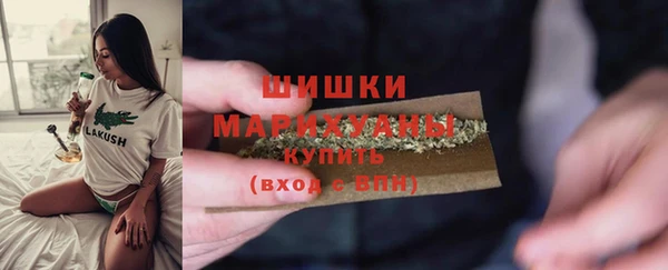 дживик Вязьма