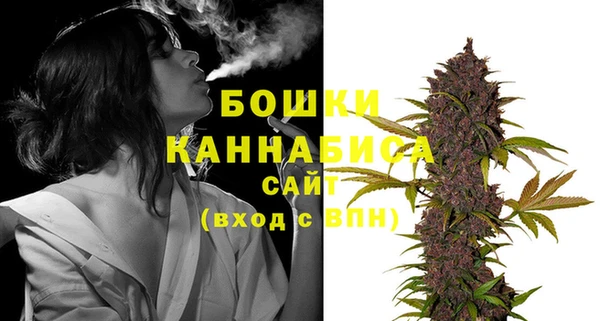 прущие грибы Осинники