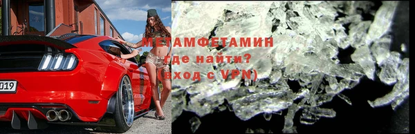 прущие грибы Осинники