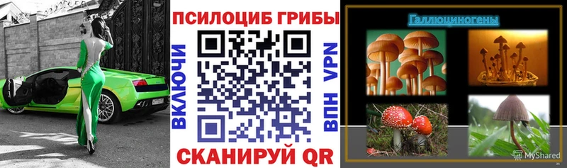 Псилоцибиновые грибы Magic Shrooms  кракен ТОР  Ильский 